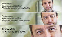 2010 Wikipedia Fundraising Campaign