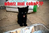 LOLcats