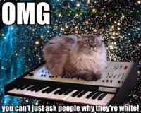 Cat on a Keyboard in Space