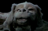 Falcor
