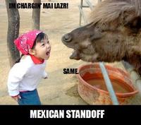 Girl Yelling at Yak