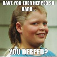 Haircut-boy-have-you-ever-herped-so-hard-you-derped