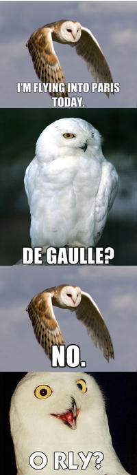 O RLY?