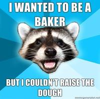 Lame Pun Coon