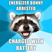 Lame Pun Coon