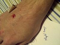 IMG-20110103-00101.jpg