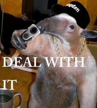 I'm an Anteater!!!