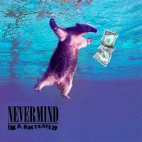 I'm an Anteater!!!
