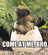 COME AT ME BRO