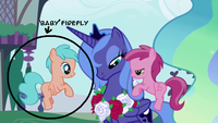 My Little Pony: Friendship is Magic