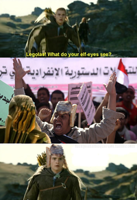 What do your elf eyes see?