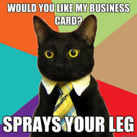Business Cat