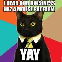 Business Cat
