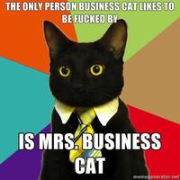 Business Cat