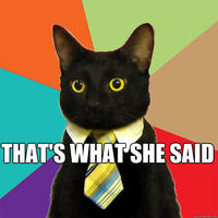 Business Cat
