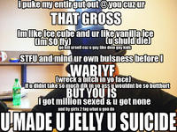 Hurt Feelings and Butt Ranged/Wall of Text Insult Images