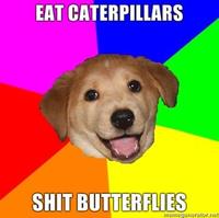 Advice Dog