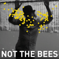 NOT THE BEES!