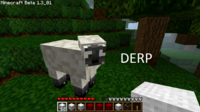 DERP