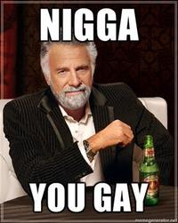 Nigga, You Gay