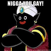 Nigga, You Gay