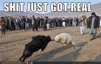 Shit Just Got Real