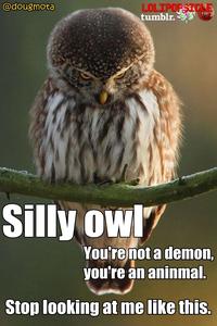 O RLY?