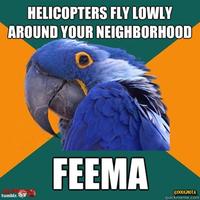 Paranoid Parrot