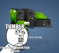 "Y U NO" Guy