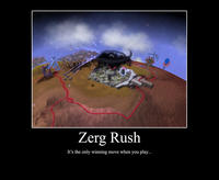 Zerg Rush