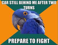 Paranoid Parrot