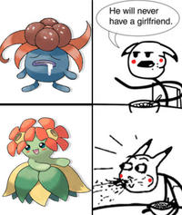 He Will Never Have a Girlfriend