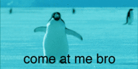 COME AT ME BRO