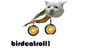 Duckroll