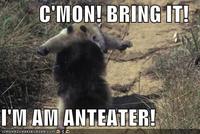 I'm an Anteater!!!