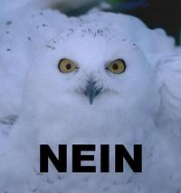 O RLY?