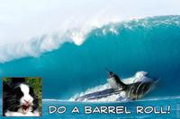 Do A Barrel Roll