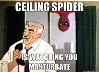 '60s Spider-Man