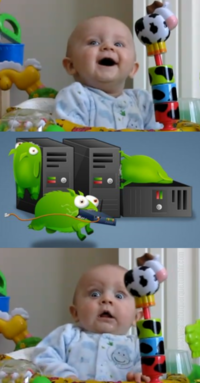 The Tumbeasts