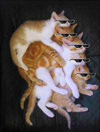 Deal With It