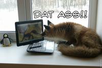 'Dat Ass