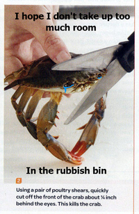 Sad Crab / This Kills The Crab
