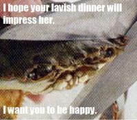 Sad Crab / This Kills The Crab