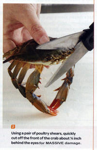 Sad Crab / This Kills The Crab