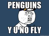 "Y U NO" Guy