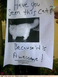 IRL Troll Posters