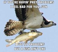 I Got 99 Problems But a Bitch Ain't One