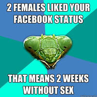 Crazy Girlfriend Praying Mantis