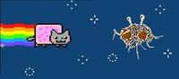 Nyan Cat / Pop Tart Cat