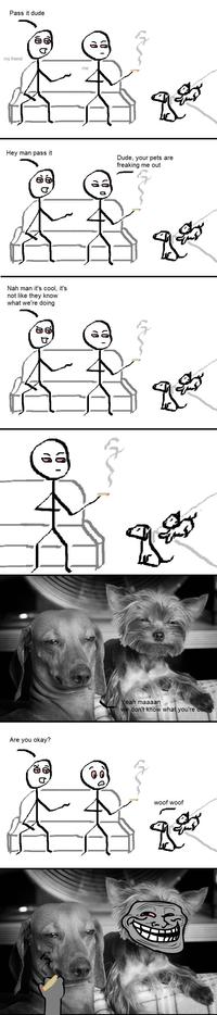 Stoner Comics